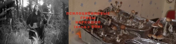 spice Балабаново