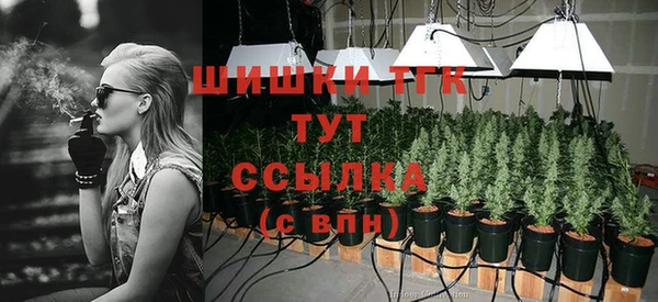 spice Балабаново